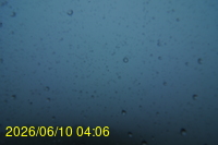 Img20260610_040623.jpg