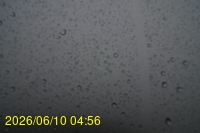 Img20260610_045623.jpg