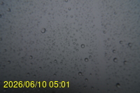 Img20260610_050123.jpg