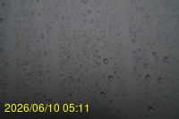 Img20260610_051123.jpg