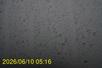 Img20260610_051623.jpg