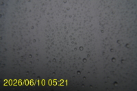 Img20260610_052123.jpg