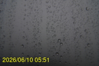 Img20260610_055124.jpg