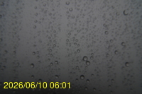 Img20260610_060124.jpg