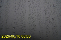 Img20260610_060624.jpg