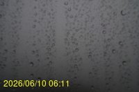 Img20260610_061124.jpg