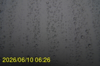 Img20260610_062624.jpg