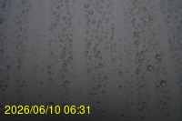 Img20260610_063124.jpg