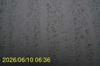 Img20260610_063624.jpg