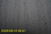 Img20260610_064124.jpg