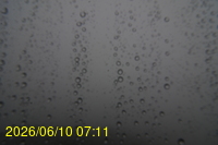 Img20260610_071124.jpg