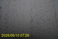 Img20260610_072624.jpg