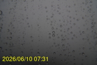Img20260610_073124.jpg
