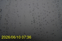 Img20260610_073624.jpg