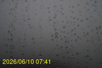 Img20260610_074124.jpg