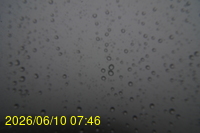 Img20260610_074624.jpg