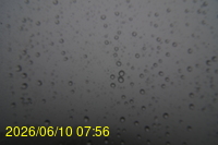 Img20260610_075624.jpg