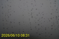 Img20260610_083124.jpg