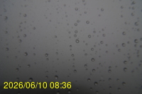 Img20260610_083624.jpg