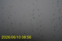 Img20260610_085624.jpg