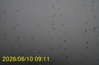 Img20260610_091124.jpg