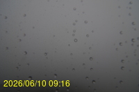 Img20260610_091624.jpg