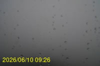 Img20260610_092624.jpg