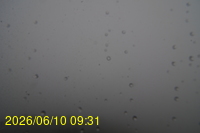 Img20260610_093124.jpg