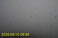 Img20260610_093624.jpg
