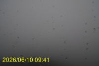 Img20260610_094124.jpg