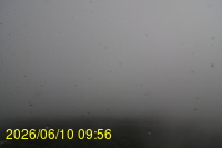 Img20260610_095624.jpg