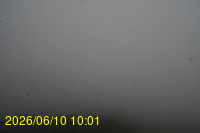 Img20260610_100125.jpg
