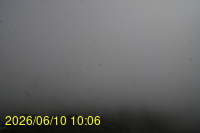 Img20260610_100625.jpg
