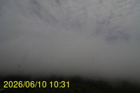 Img20260610_103125.jpg