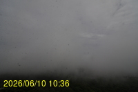 Img20260610_103625.jpg