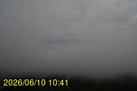 Img20260610_104125.jpg