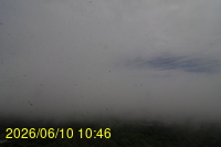 Img20260610_104625.jpg