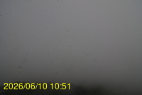 Img20260610_105125.jpg