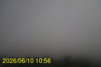 Img20260610_105625.jpg