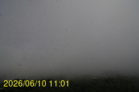 Img20260610_110125.jpg