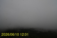 Img20260610_120125.jpg