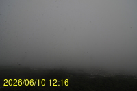 Img20260610_121625.jpg
