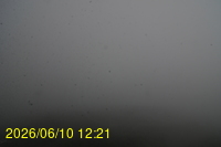 Img20260610_122125.jpg