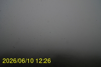 Img20260610_122625.jpg