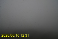 Img20260610_123125.jpg