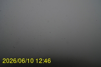 Img20260610_124625.jpg