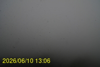Img20260610_130625.jpg