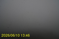 Img20260610_134625.jpg