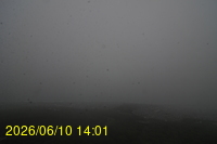 Img20260610_140125.jpg