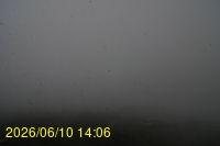 Img20260610_140625.jpg